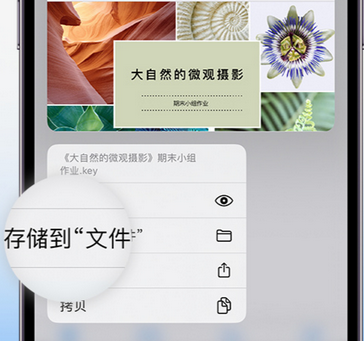 长洲apple维修中心分享iPhone文件应用中存储和找到下载文件