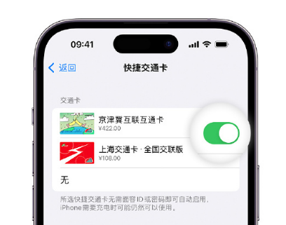 长洲apple维修点分享iPhone上更换Apple Pay快捷交通卡手绘卡面 