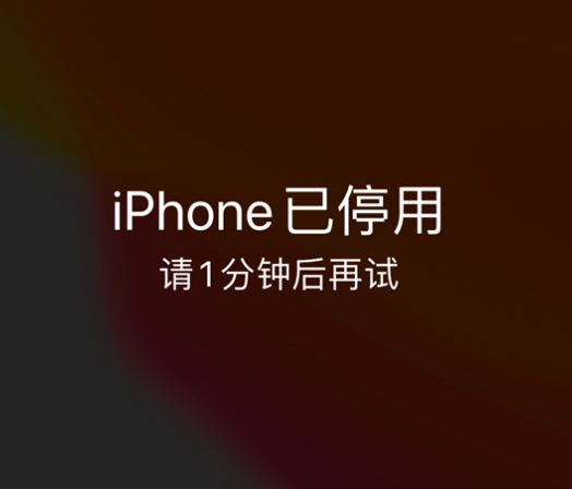 长洲苹果手机维修分享:iPhone 显示“不可用”或“已停用”怎么办？还能保留数据吗？ 