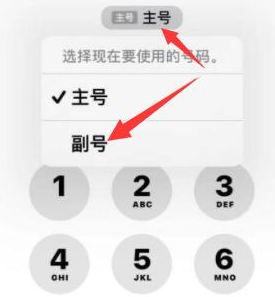 长洲苹果14维修店分享iPhone 14 Pro Max使用副卡打电话的方法 