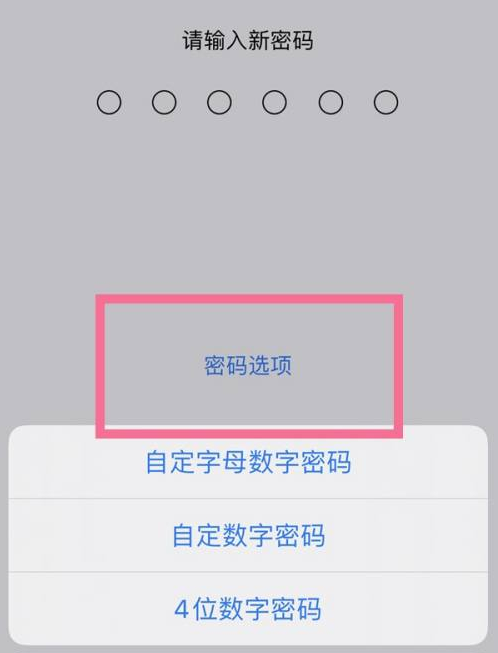 长洲苹果14维修分享iPhone 14plus设置密码的方法 