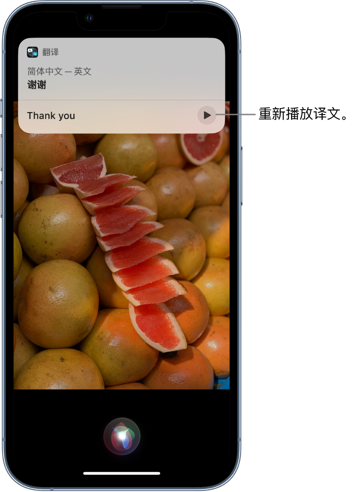 长洲苹果14维修分享 iPhone 14 机型中使用 Siri：了解 Siri 能帮你做什么 