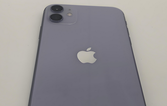 长洲苹果11系统维修分享iPhone11手机系统崩溃无法开机如何解决 